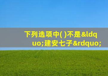 下列选项中( )不是“建安七子”